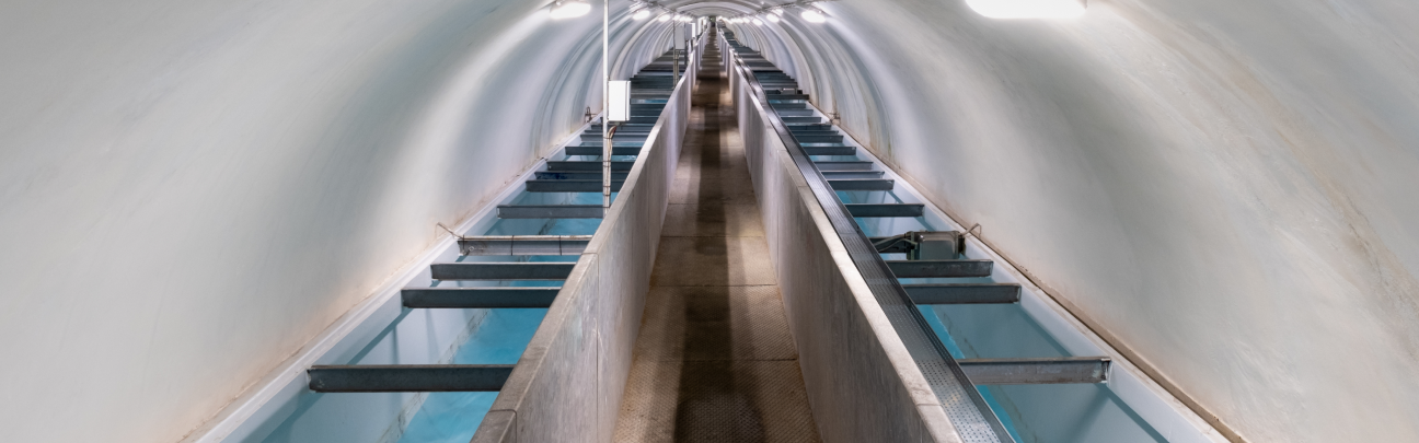 Tunnel: Infrastruttura del Gruppo Acea