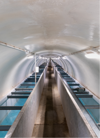 Tunnel: Infrastruttura del Gruppo Acea