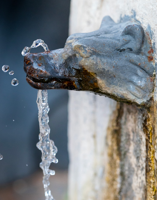 Fontanella acqua a forma di lupo
