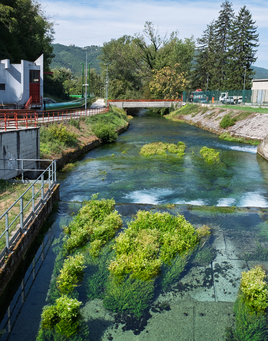 Dettaglio della sorgente del Peschiera Capore,curato dal Gruppo Acea