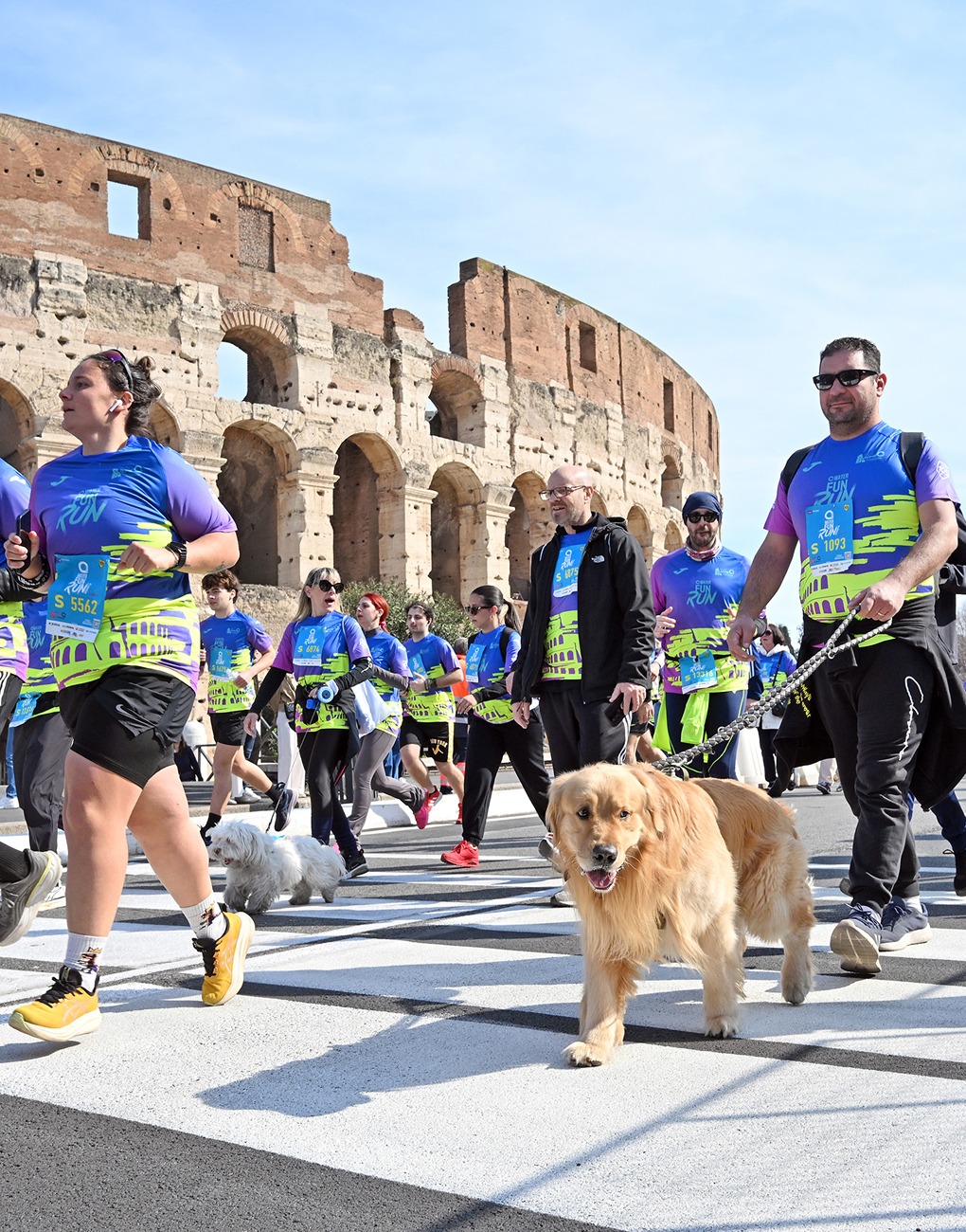 A Golden Retriever participating in the Acea Run Rome Marathon 2026