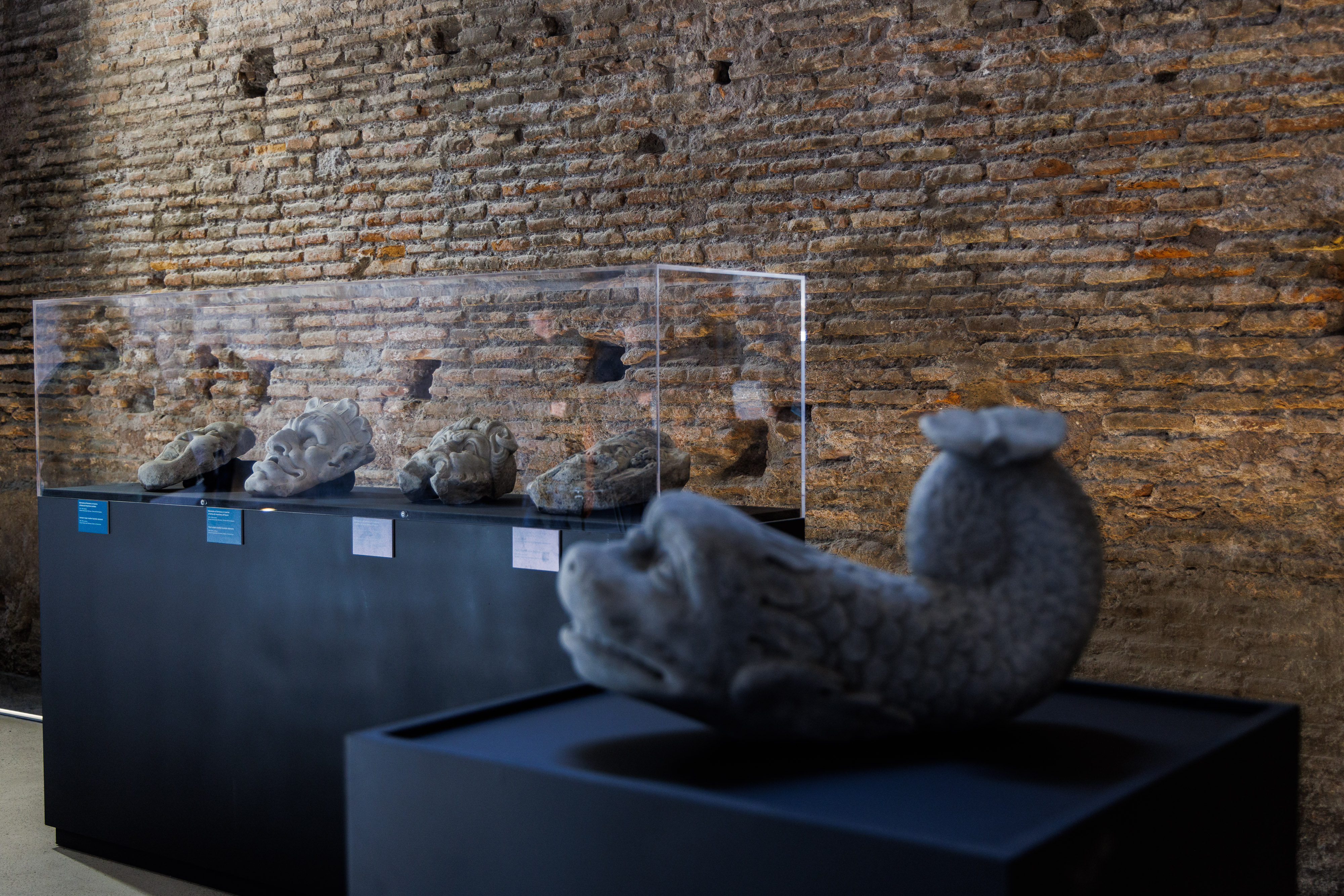 un reperto archeologico a forma di pesce