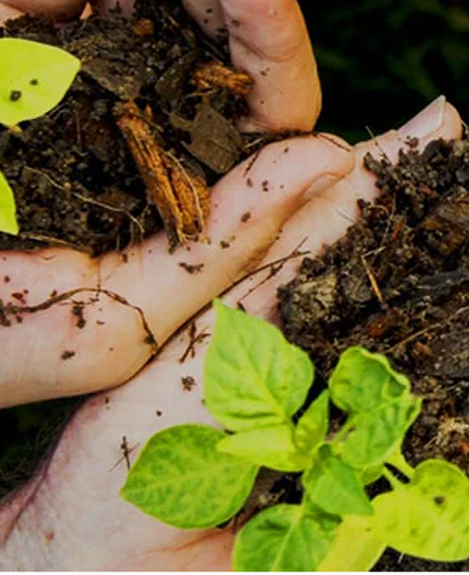 Mani che toccano della terra