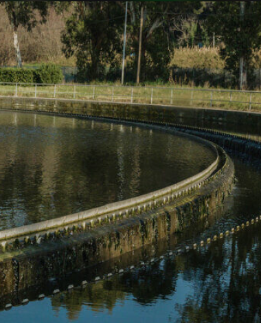 Obiettivo 6 Agenda 2030: acqua pulita