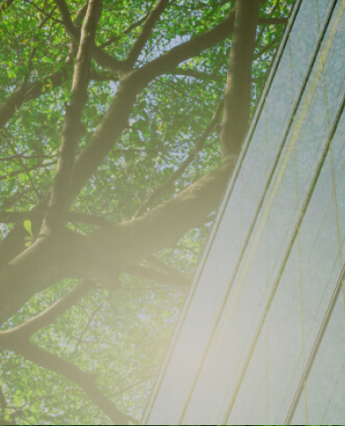 Palazzo di vetri e alberi verdi