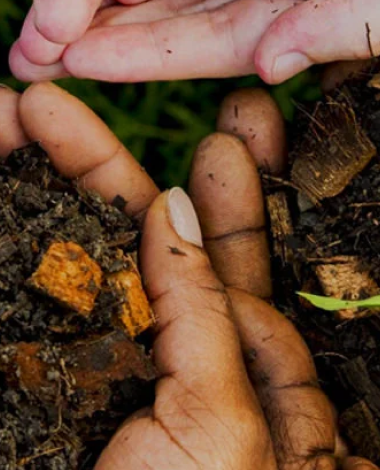 Compost e sostenibilità