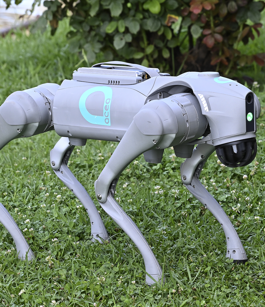 Teddi, robot quadrupede di Acea