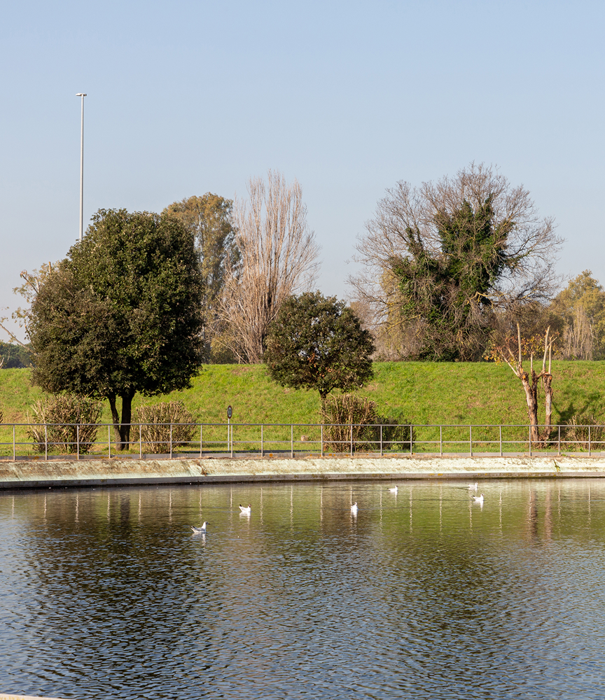 Un bacino idirico artificiale vicino a un prato