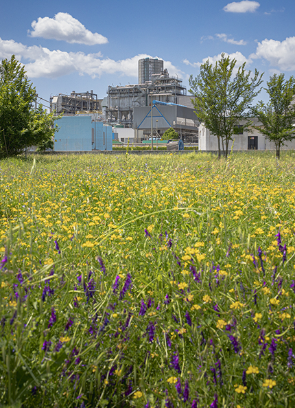 Un impianto di depurazione