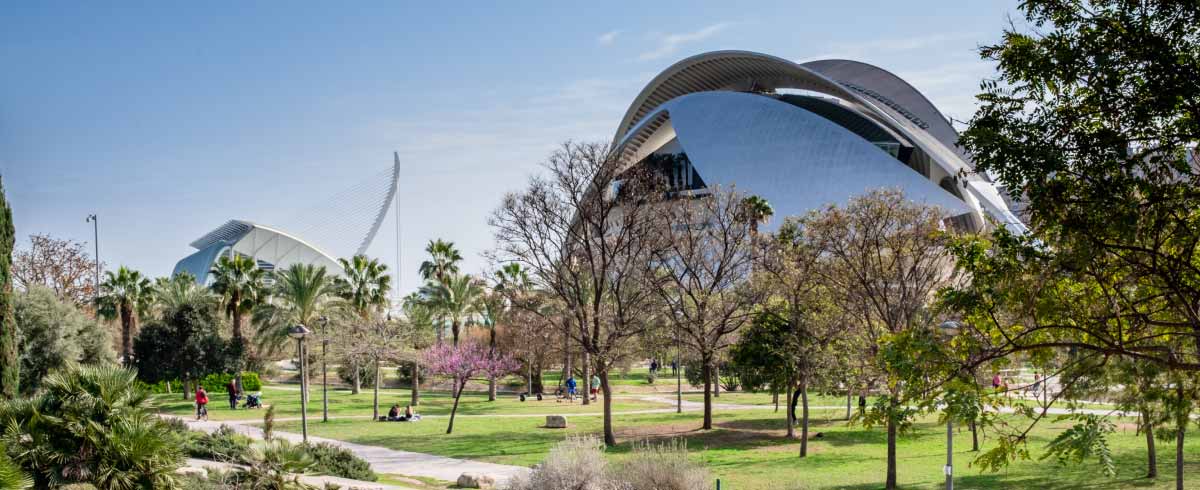 Scatto dei Giardini del Turia di Valencia