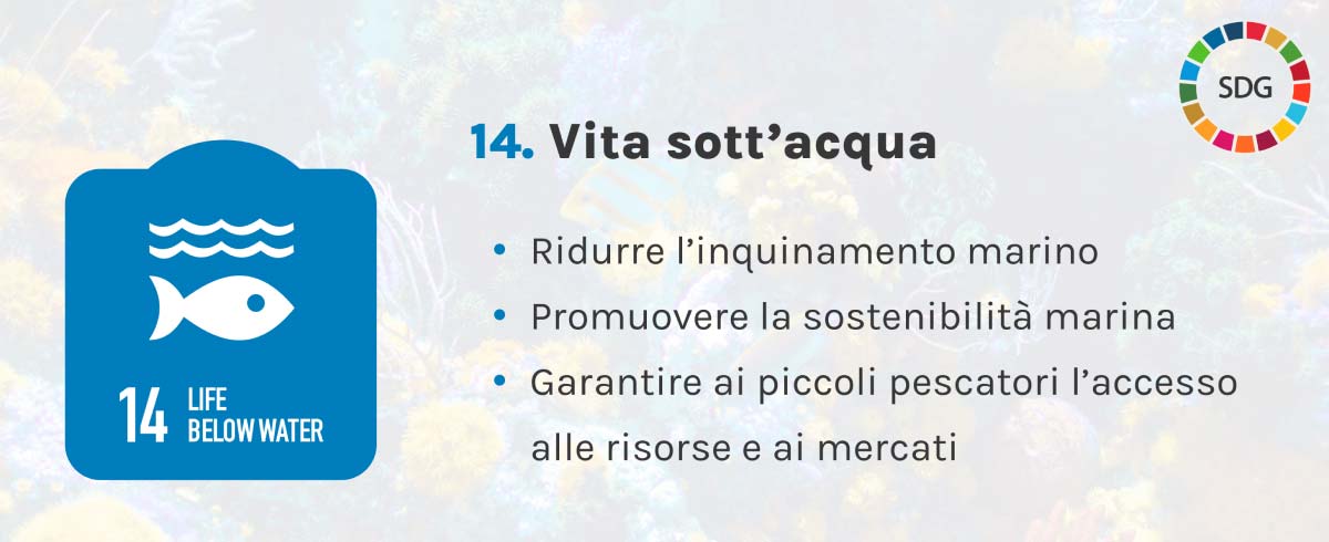 Raffigurazione schematica dell'obiettivo 14 "Vita sott'acqua", inserito tra gli SDGs dall'ONU.