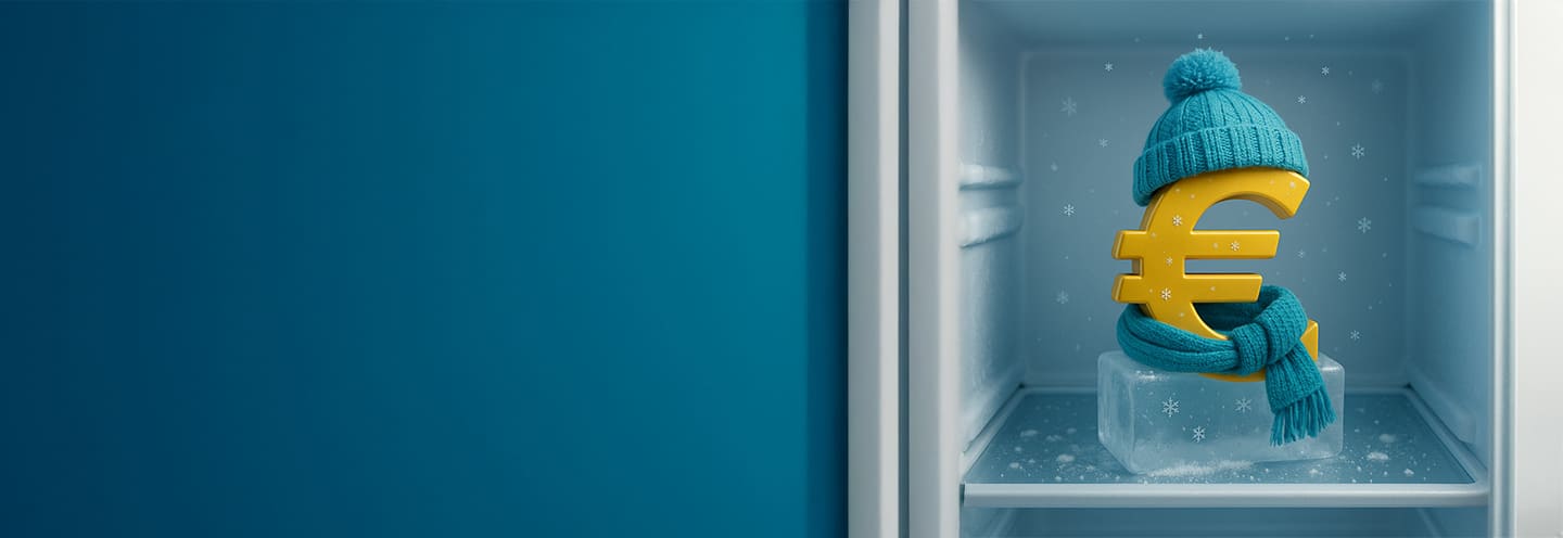 Simbolo euro congelatore