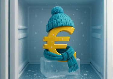 Simbolo dell'euro nel congelatore