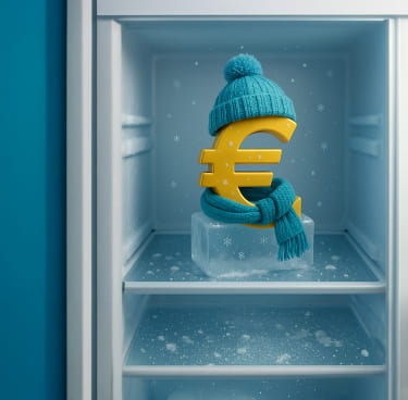 Simbolo euro congelatore