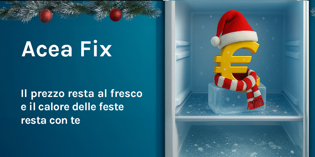 Simbolo dell'euro in abiti natalizi nel congelatore