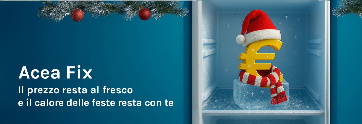 Simbolo dell'euro in abiti natalizi nel congelatore