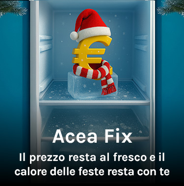 Simbolo dell'euro in abiti natalizi nel congelatore