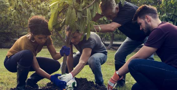 Immagine con concept di sostenibilità e green attitude