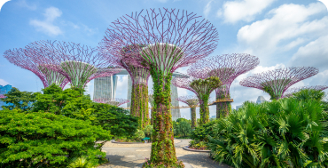 gardens by the bay