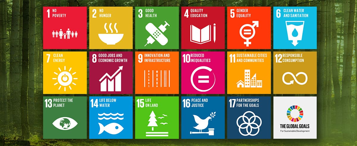 Agenda ONU 2030 
