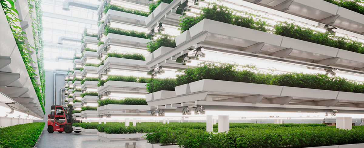 Vertical farm 